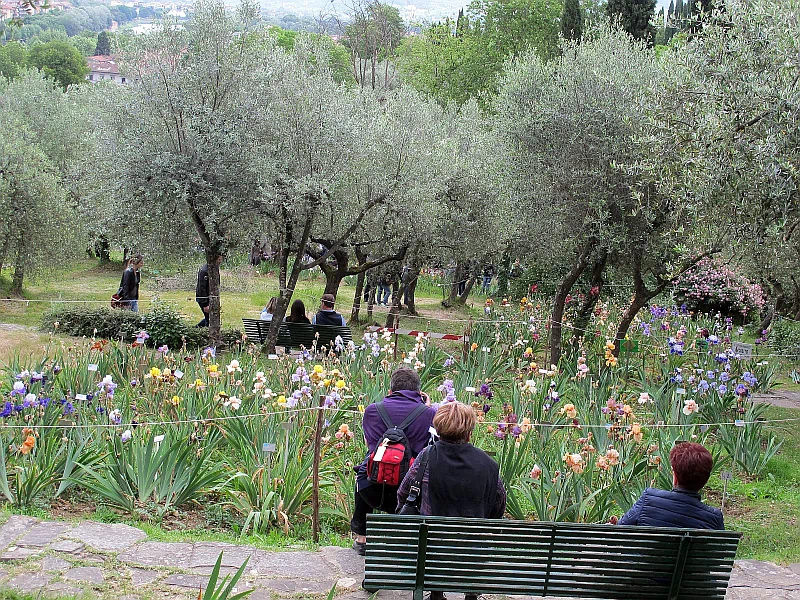 Tour a Piazzale Michelangelo - Giardino dell'Iris a Firenze.Fonte Wikimedia, Fotografia di Sailko - https://commons.wikimedia.org/wiki/User:Sailko - CC-BY-3.0 - https://creativecommons.org/licenses/by/3.0/it/deed.it